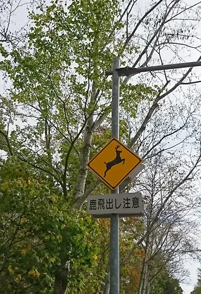 シカ飛び出し注意の標識