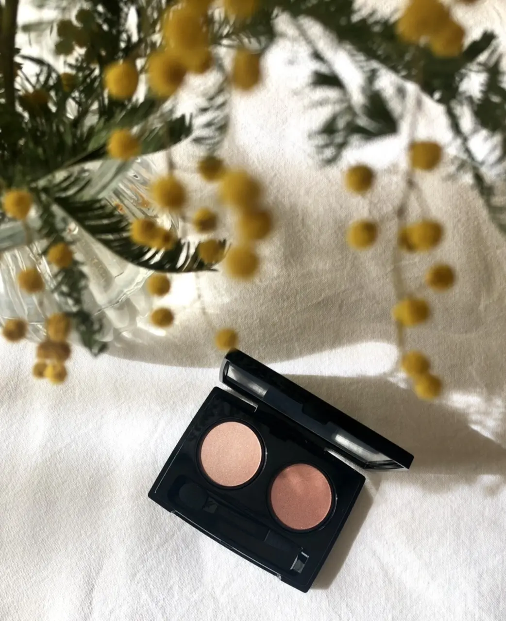 MiMC ビオモイスチュアシャドウ　エテルナローズ 