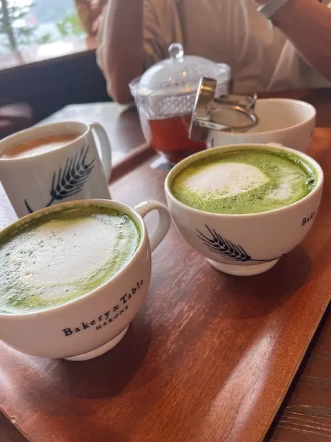 箱根　三姉妹と母との旅の画像_7