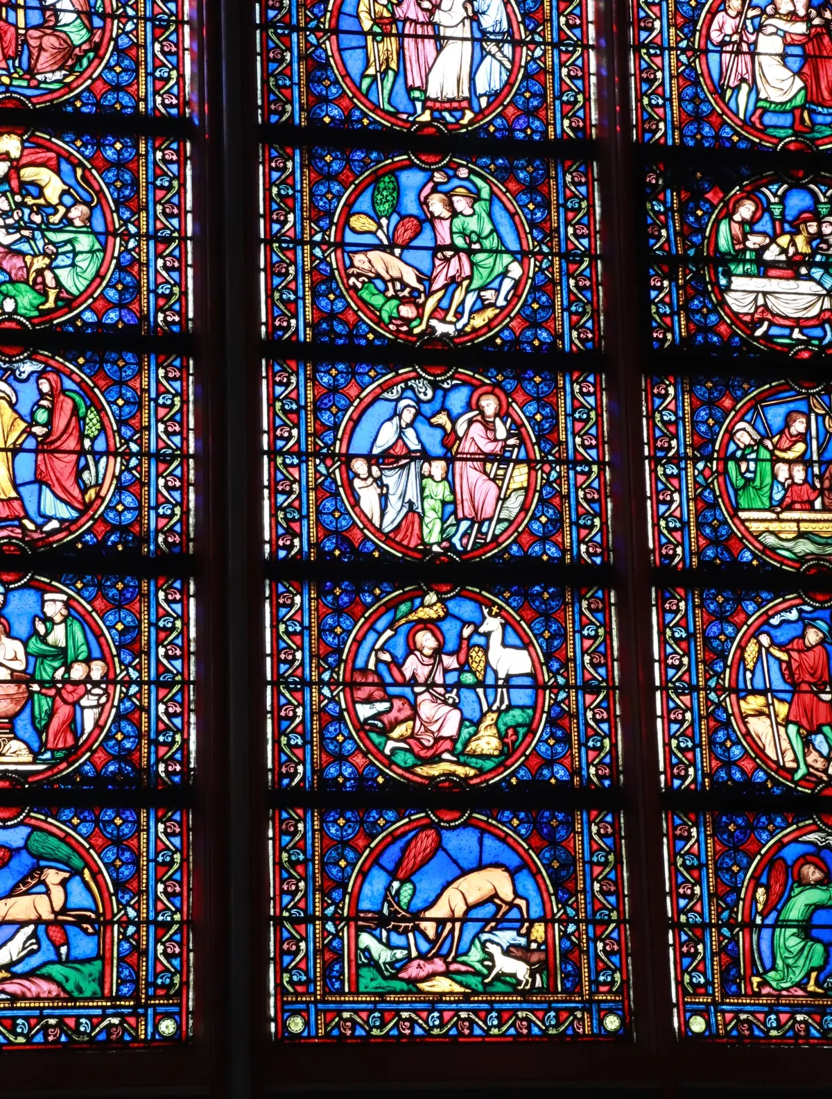 パリ　ノートルダム大聖堂　　ステンドグラス　 Notre-Dame de Paris