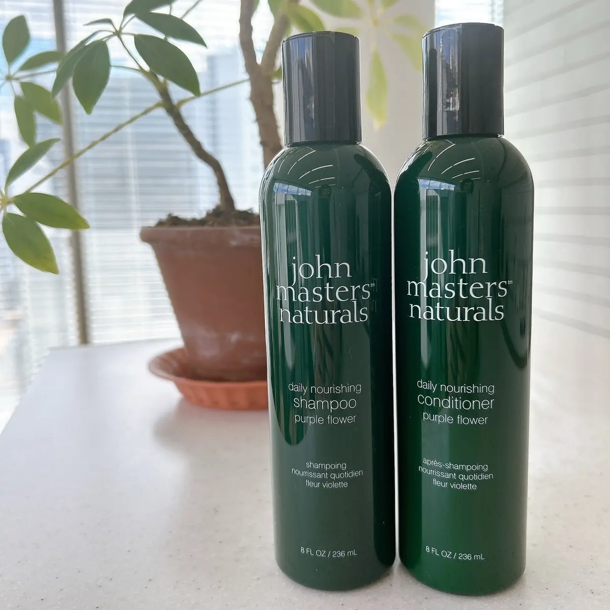 クリスマスコフレ　ジョンマスターオーガニック　C&Vシャンプー パープルフラワー 236mL、C&Vコンディショナー　パープルフラワー