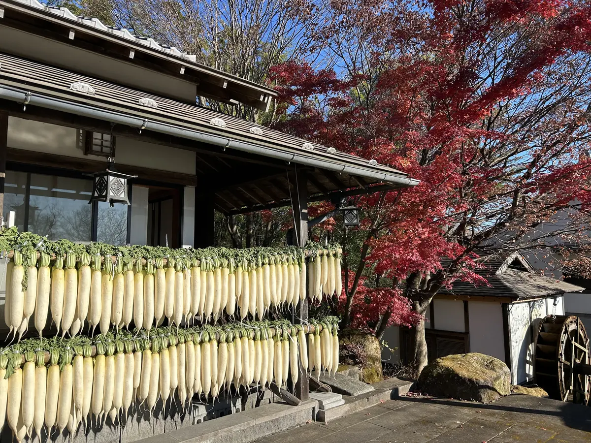 那須高原を東奔西走とおまけに仙台への画像_5