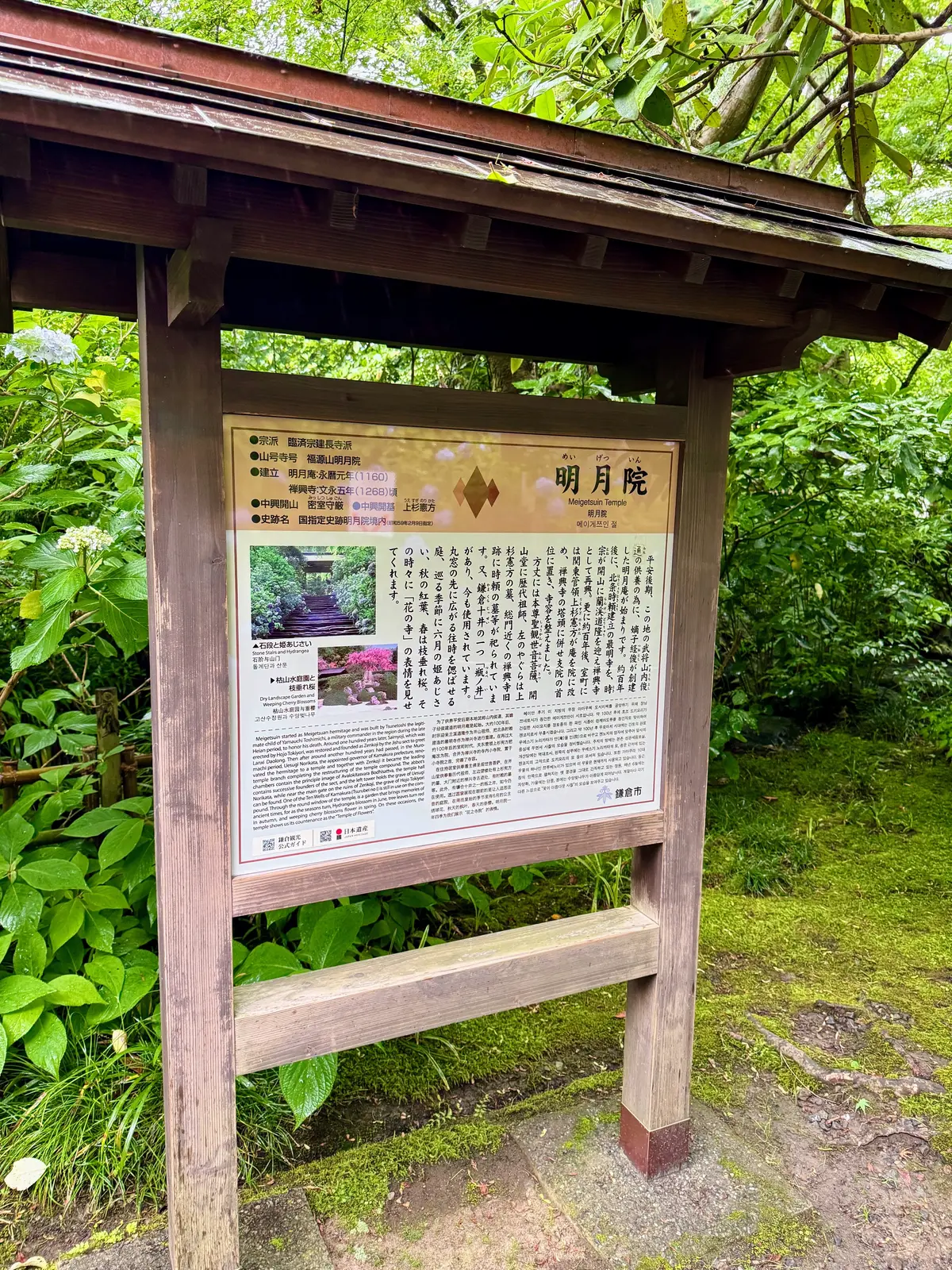 紫陽花の季節、自分で仕立てたお着物で古都の画像_2