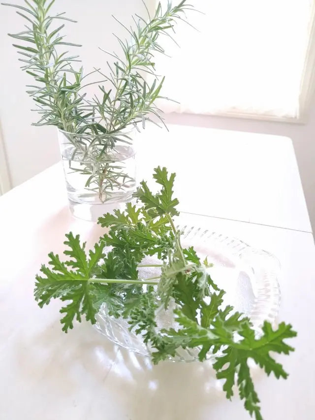 限定いちごクリームラスクと香りを楽しむシの画像_3