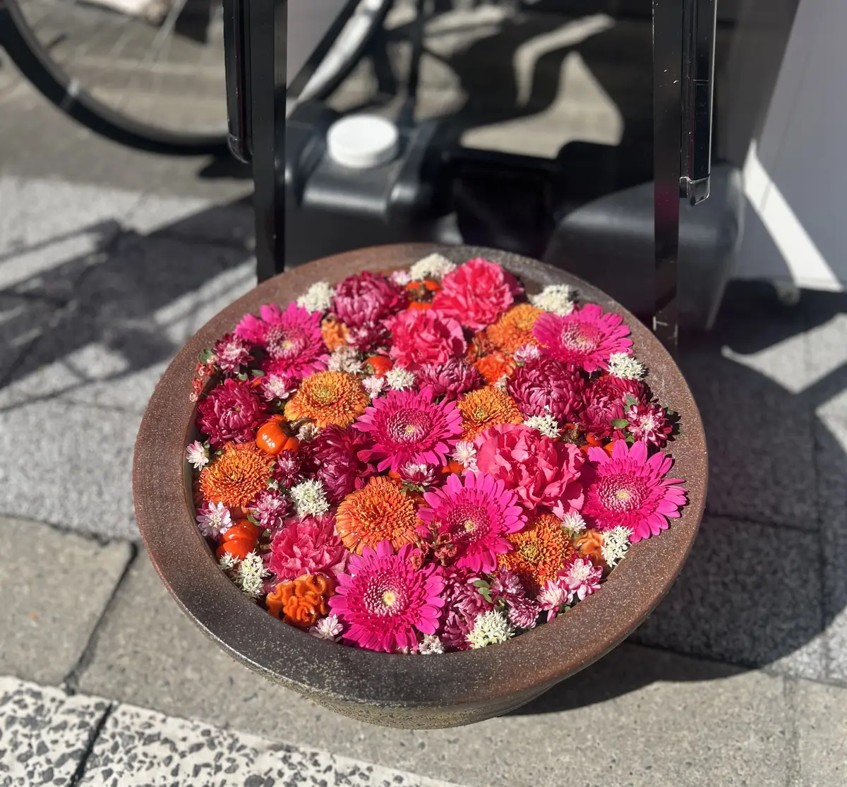 深川花手水2024秋　深川不動尊商店会