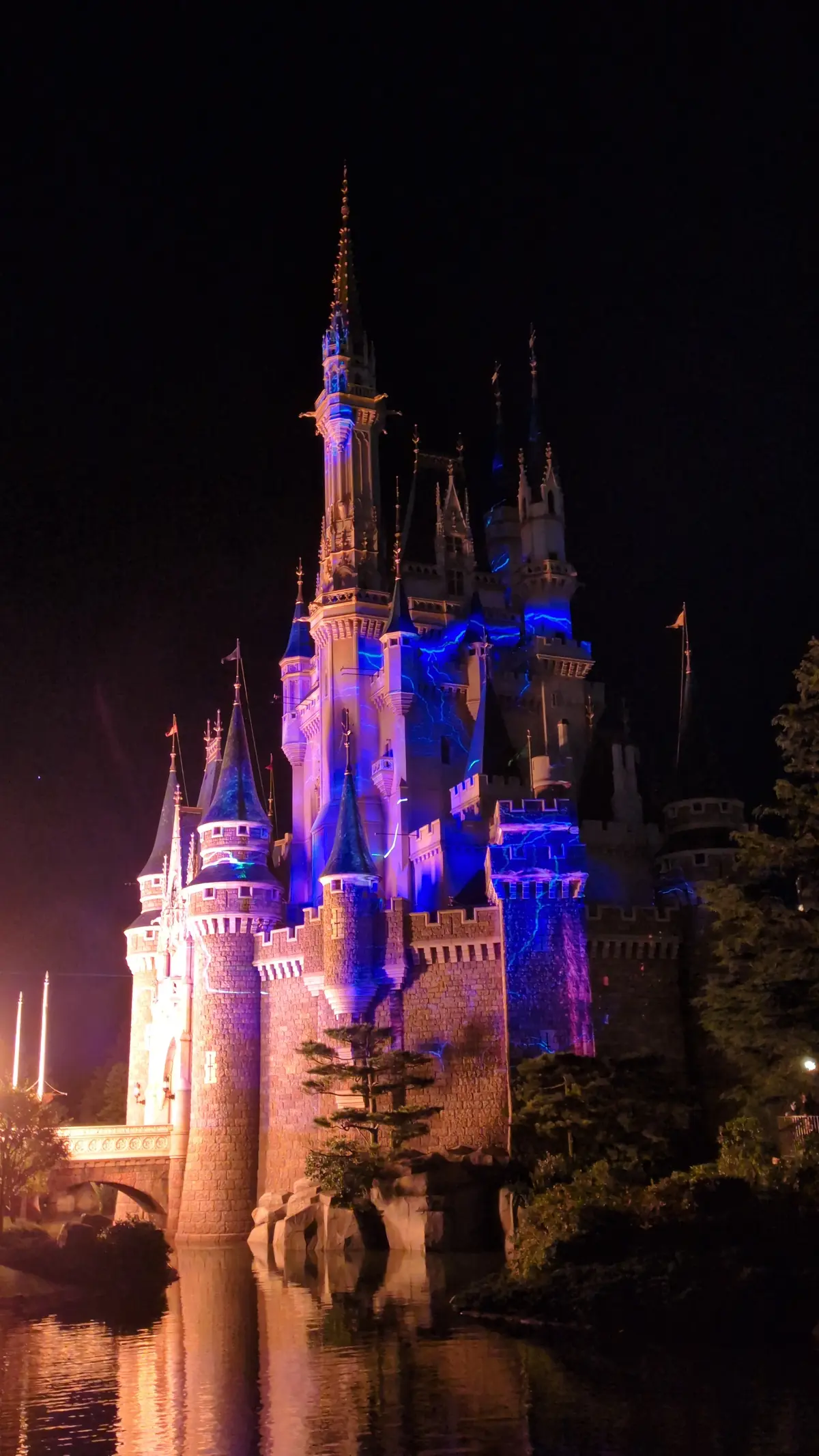 ２０２４年クリスマス直前！！【東京ディズの画像_17