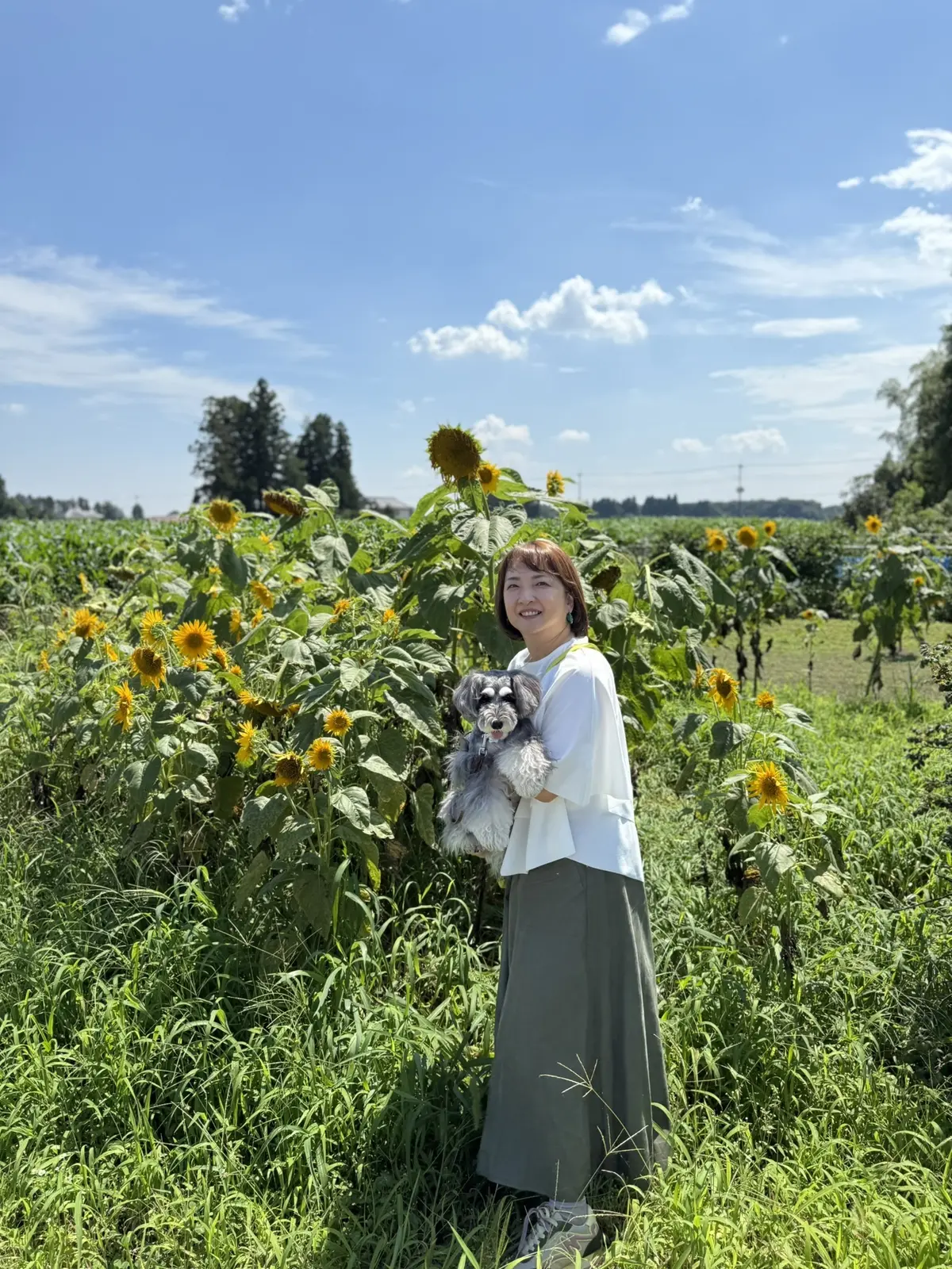 エクラ華組　梅澤千佳子　那須高原　ひまわり