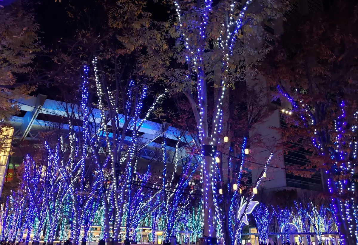 イルミネーション