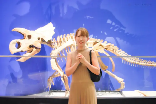 【さかぽんの冒険】ダイナソー🦖に会いに上の画像_5