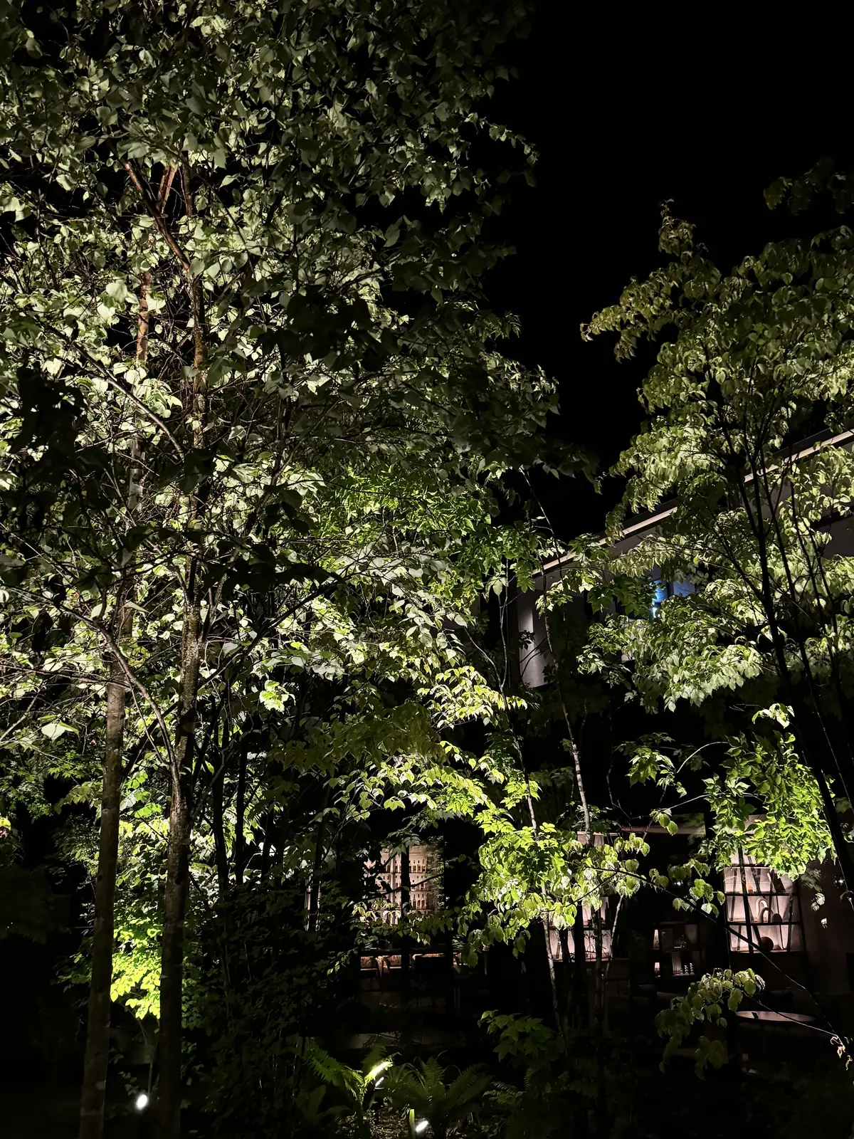 軽井沢の森に溶け込む、「ふふ軽井沢　静養の画像_7