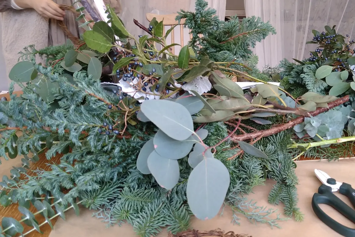 クスノキ　アパートメント　ネスト