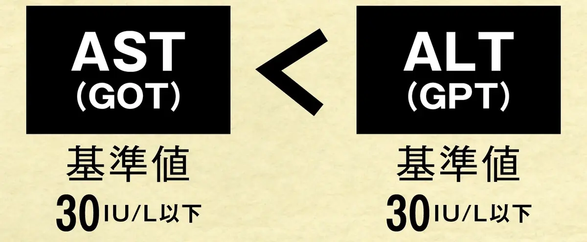 OurAge×Webエクラ　
