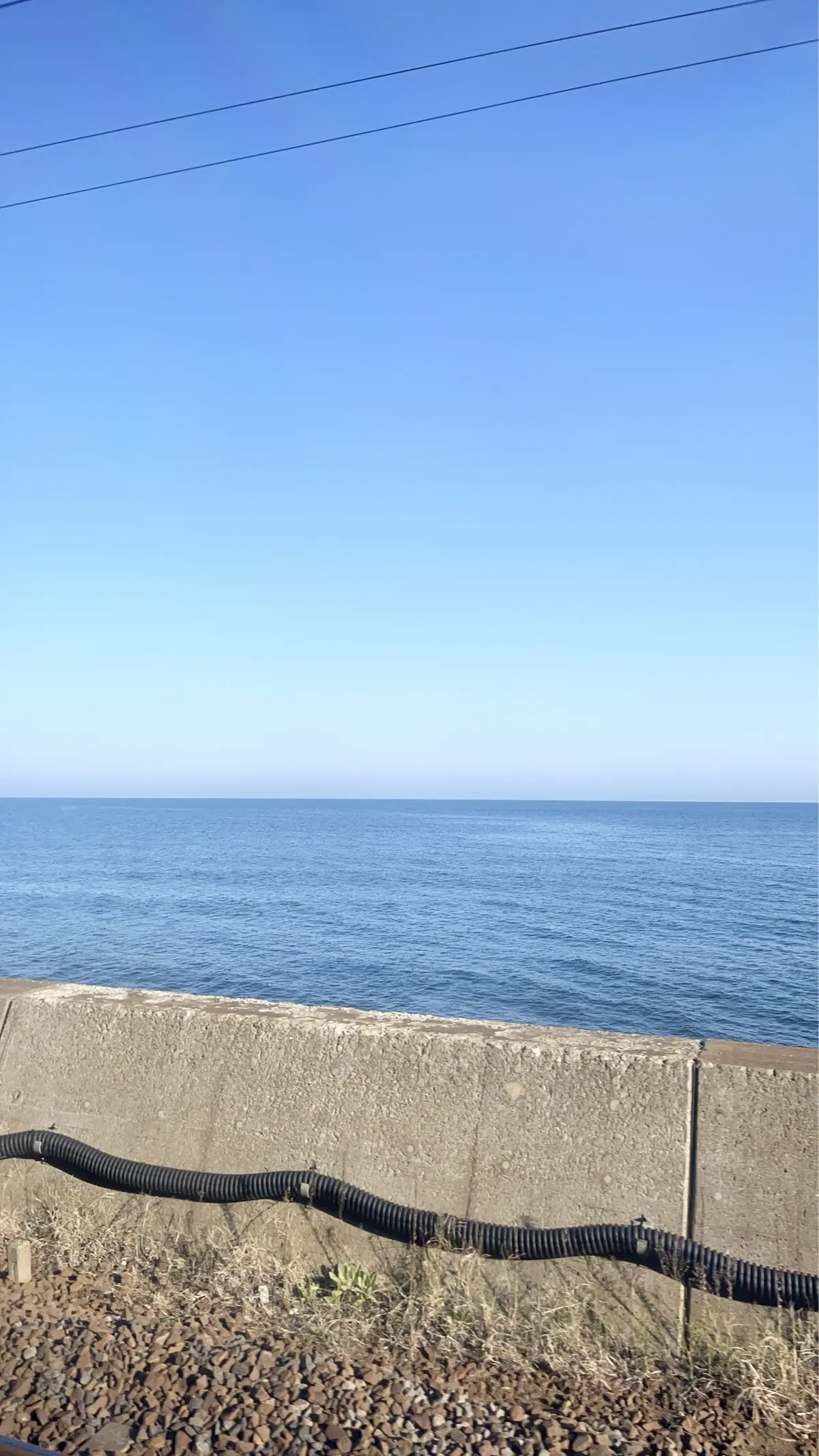 éclat エクラ　Jマダム　ブログ　北海道　札幌　トモコ　知子　ワイン　タカヒコ　曽我貴彦　ドメーヌタカヒコ　余市　小樽　収穫　ぶどう