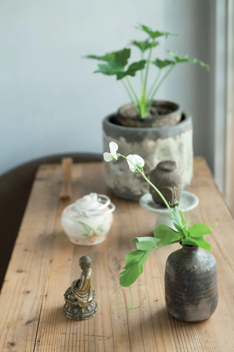 みずみずしさを添えて