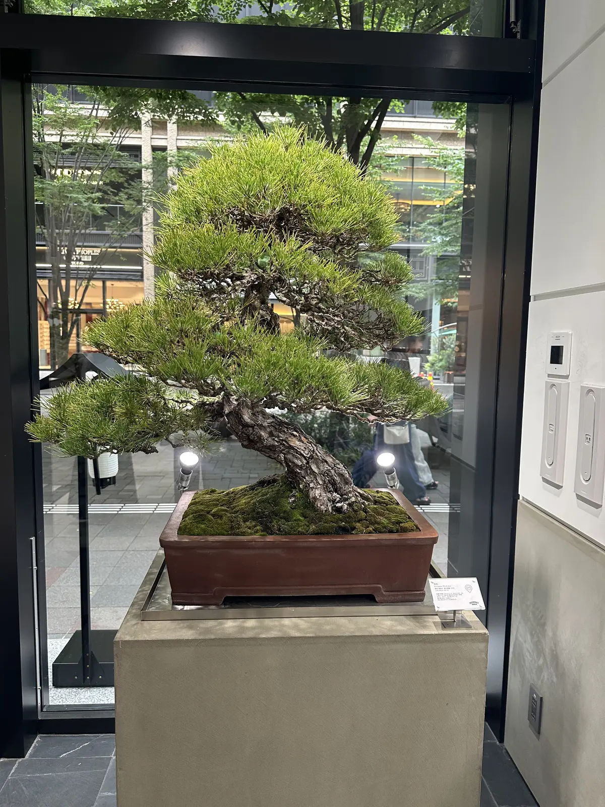 プラスアルファが楽しいスナップ撮影の画像_13