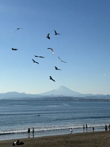 あけましておめでとうございます！久し振りの画像_5