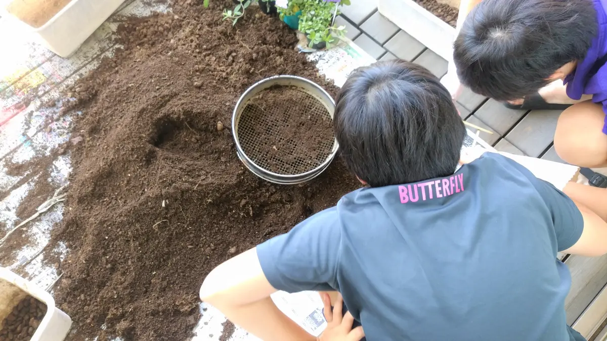 初夏のおしごとの画像_1