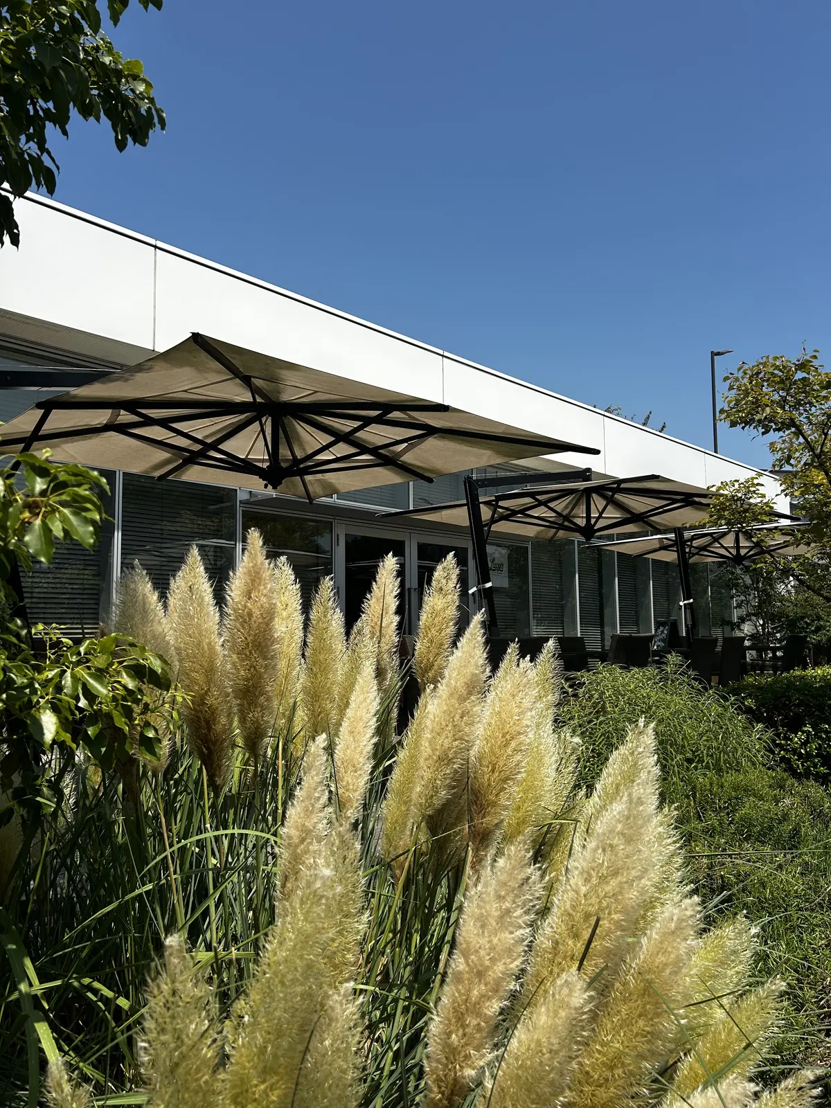 LUCYS BAKERY CAFE（ルーシーズ・ベーカリー・カフェ）