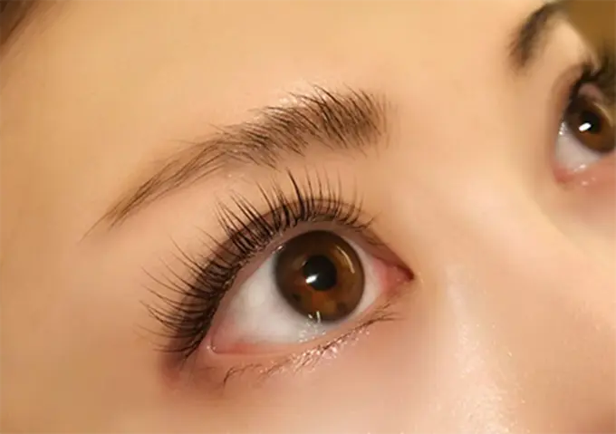 kakimoto arms AOYAMA アイラッシュ