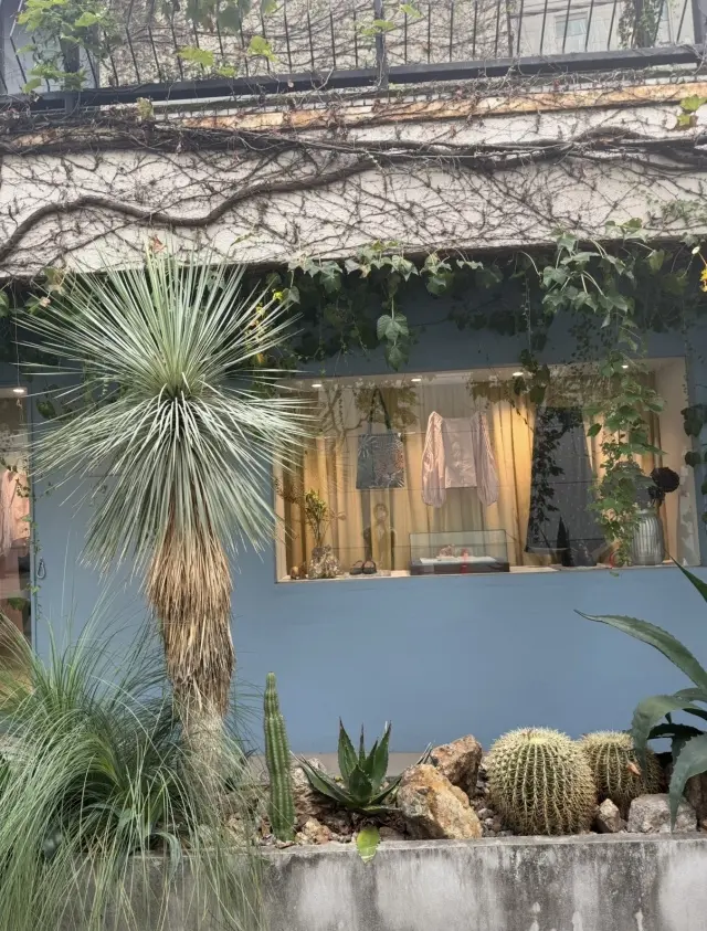 東京滞在2日目、大好きなライフスタイルシの画像_3