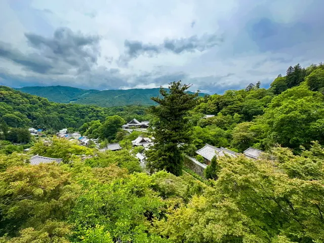 お花の御寺・奈良の長谷寺へ【あじさい】の画像_6