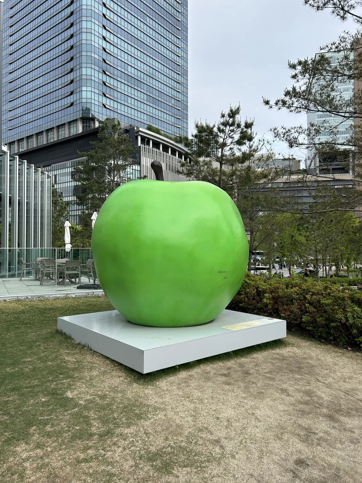 世界的建築家・安藤忠雄展に行ってきましたの画像_12