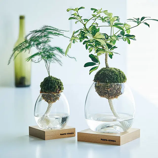 夏の快適インテリア「グリーン」や「リネンの画像_5