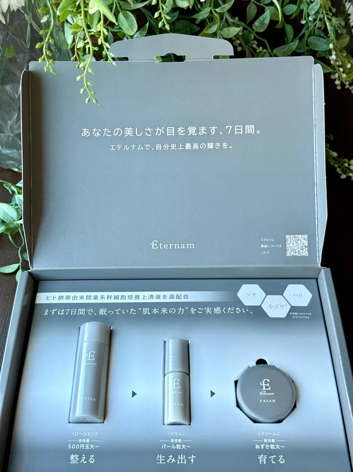 ソワレ・ドゥ・エクラ 　ザ・ストリングス表参道　お土産　エテルナム　再生医療　臍帯由来　幹細胞スキンケア