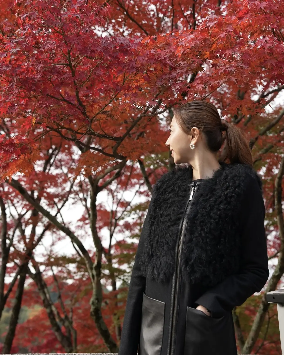 「そうだ京都、行こう。」🍂✨の画像_15