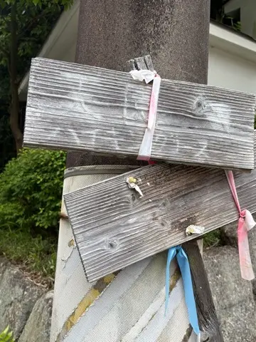 新緑眩しい鎌倉ハイキングに出掛けませんかの画像_22