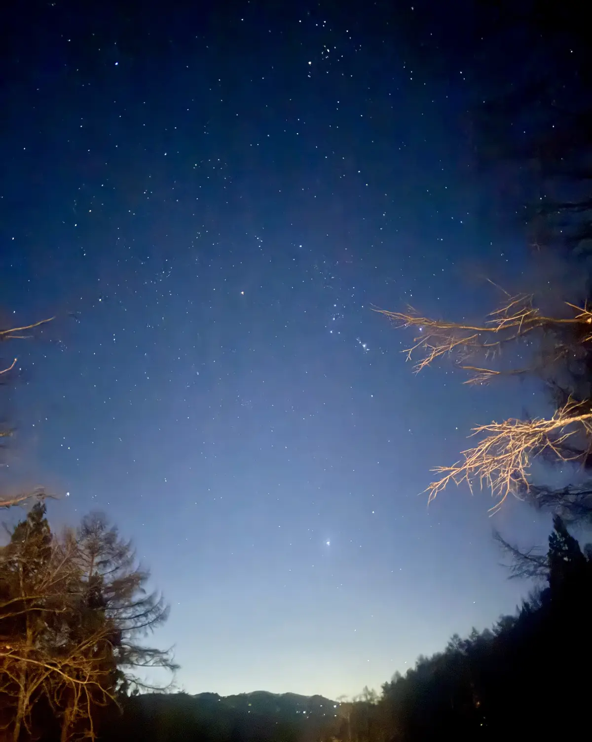 軽井沢で迎える静かな新年　-冬の軽井沢との画像_1