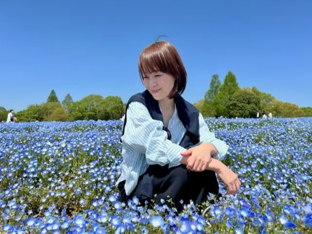 ネモフィラに癒されました