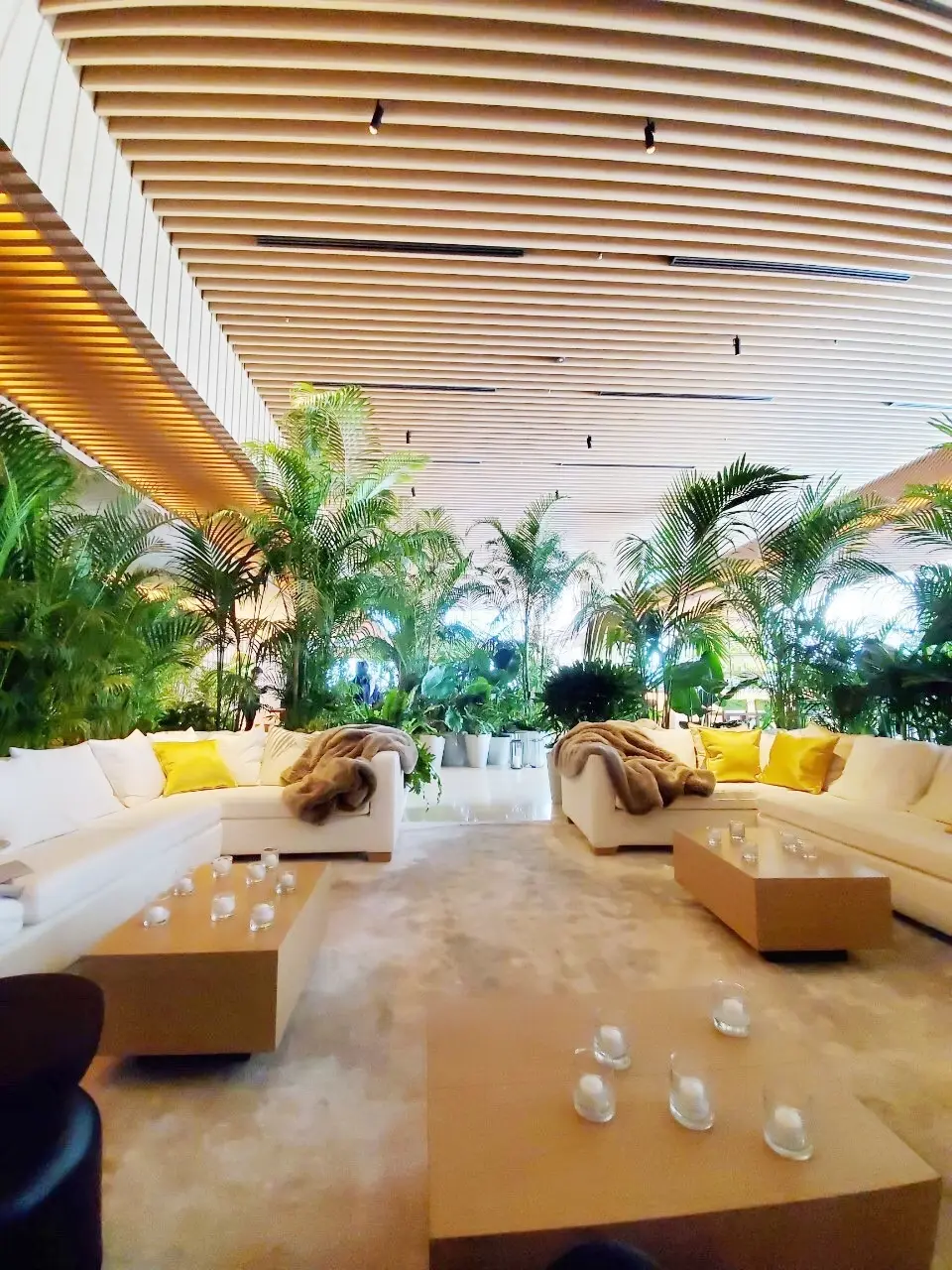 The Blue Room東京エディッシの画像_2