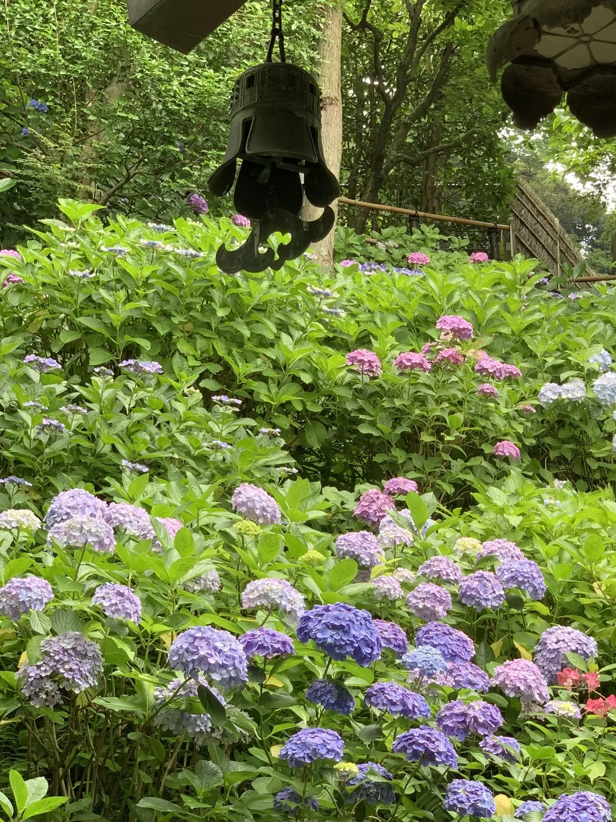 長谷寺　春は藤、石楠花、ツツジ 夏は桔梗、ユリ 秋は菊、彼岸花 冬は山茶花、椿、牡丹