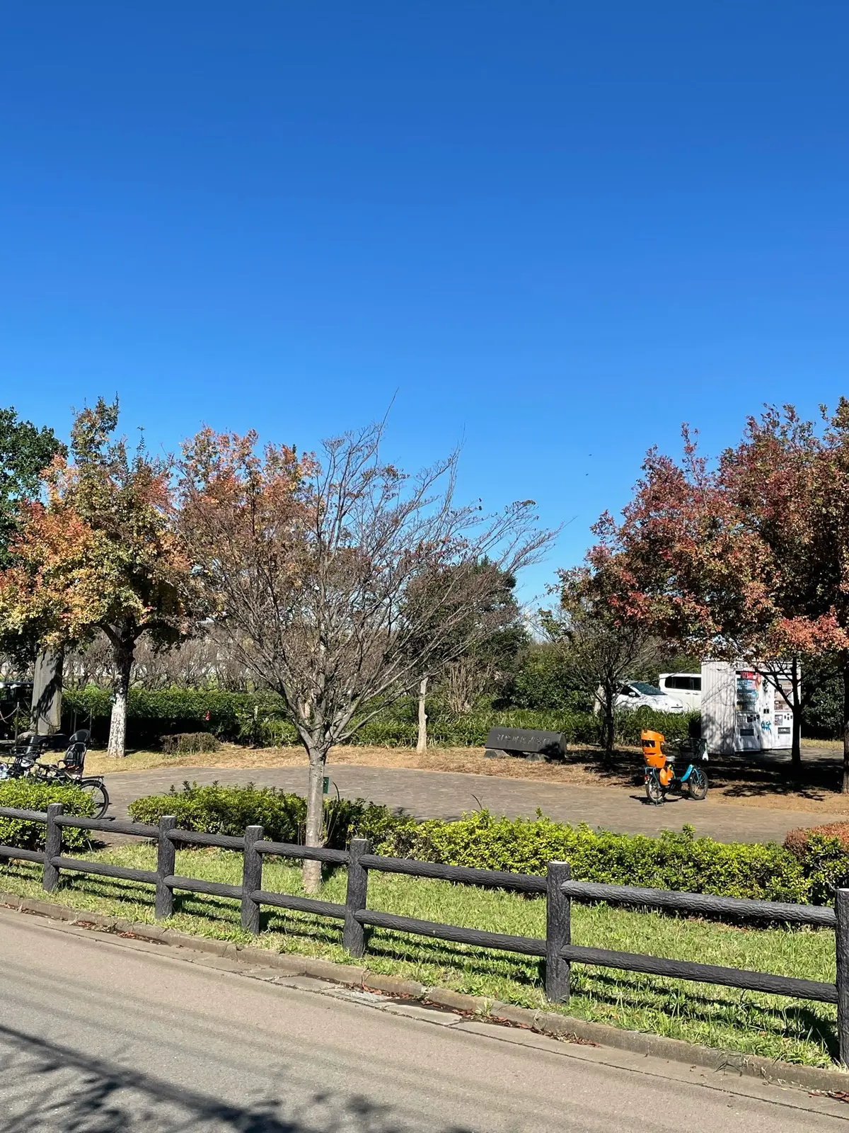 オンラインマラソンに参加です！の画像_3