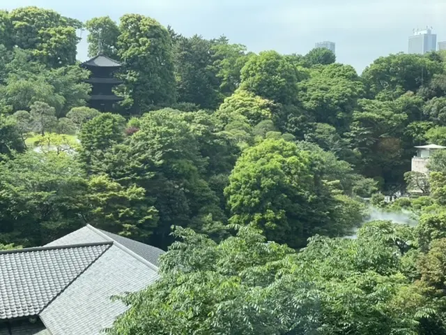 プチプラノースリーブで、椿山荘ランチの画像_5