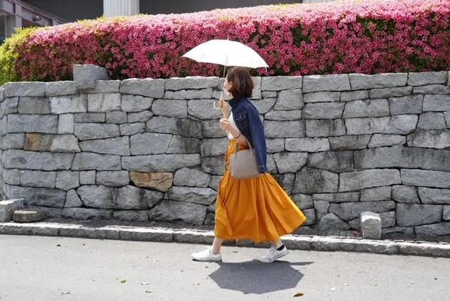 清澄白河お散歩Ⅳの画像_1