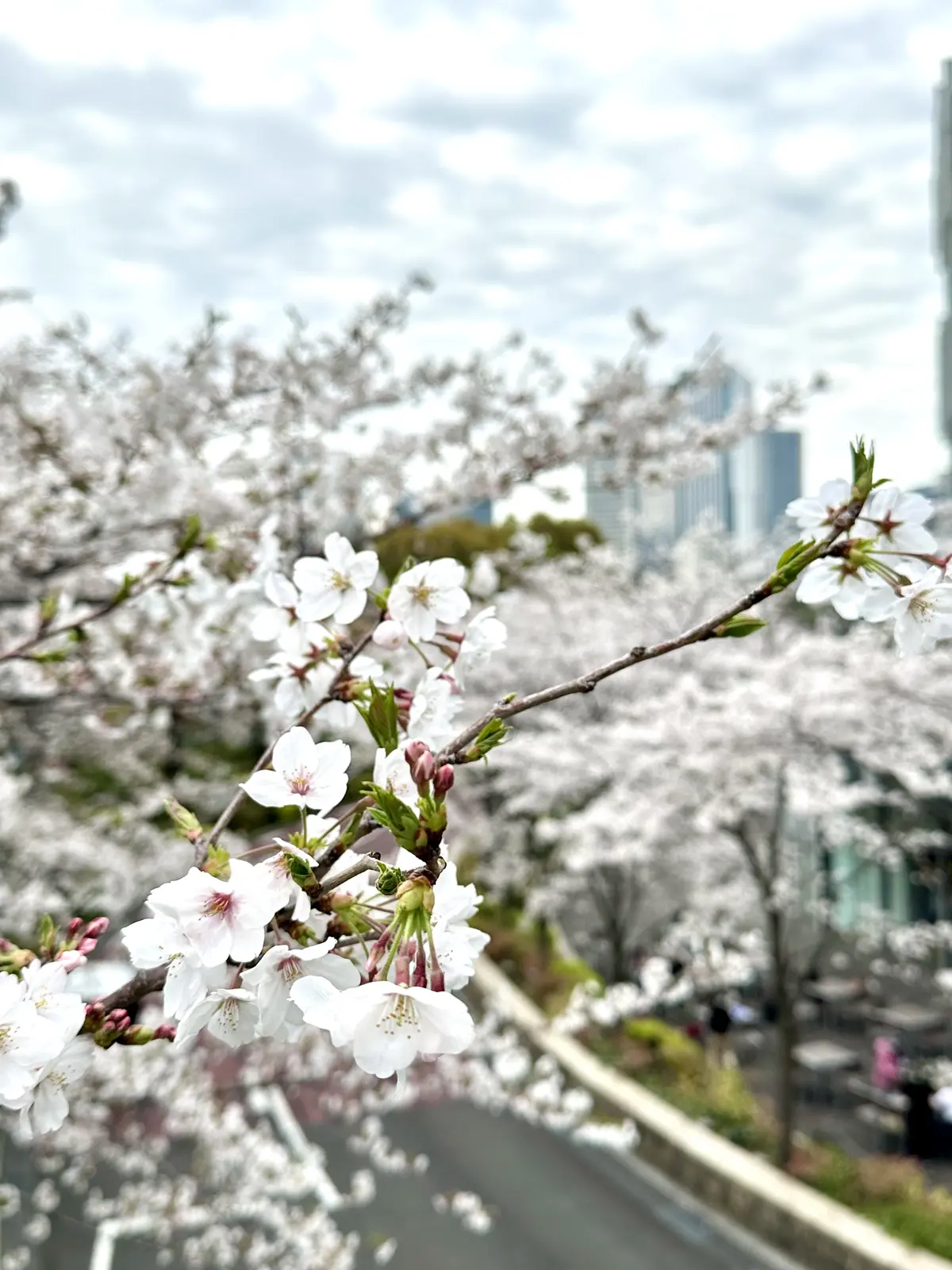 H&Mで見つけた春アイテムでランチ会へ♪の画像_9