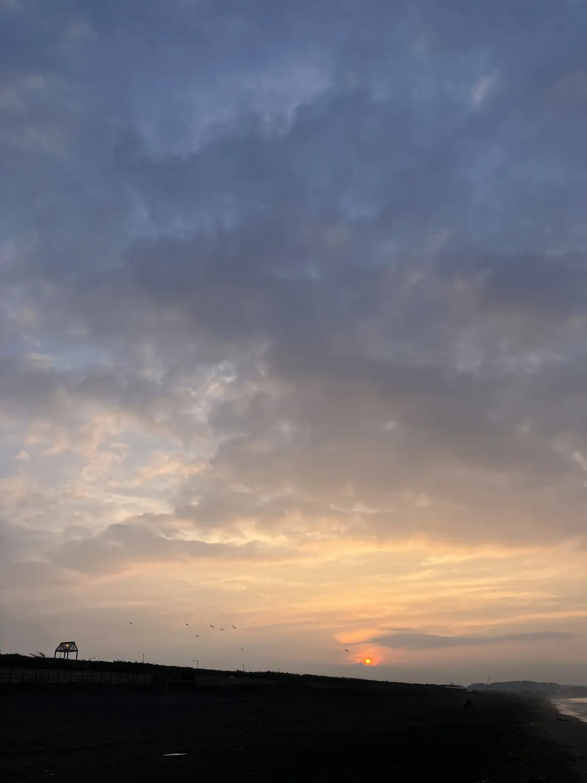 朝活スタートしました♪の画像_8