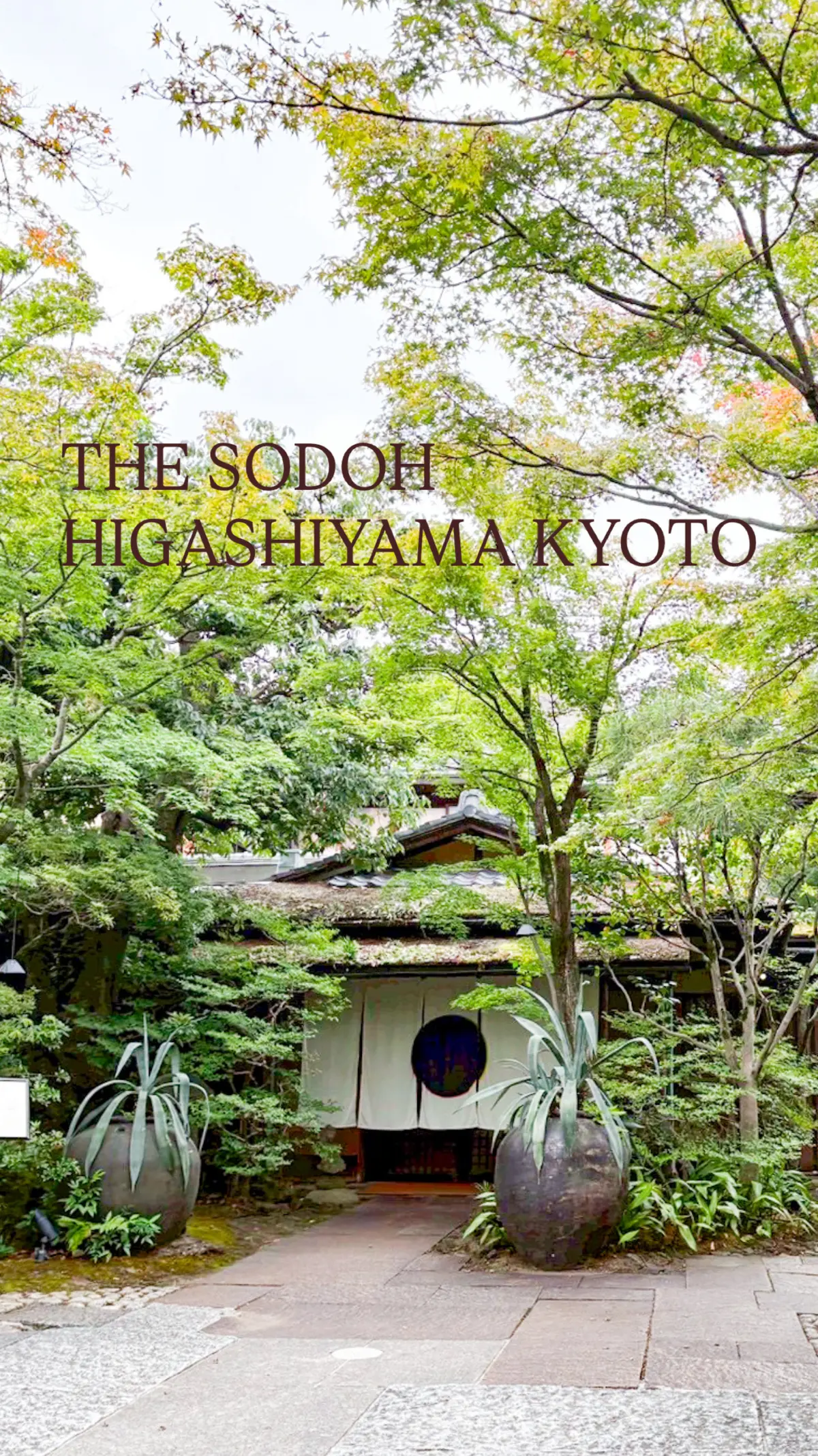 【京都】祇園ランチ & 絶景 BAR🍸 の画像_2