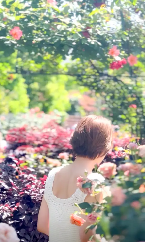 【横浜イングリッシュガーデン】ローズフェの画像_1