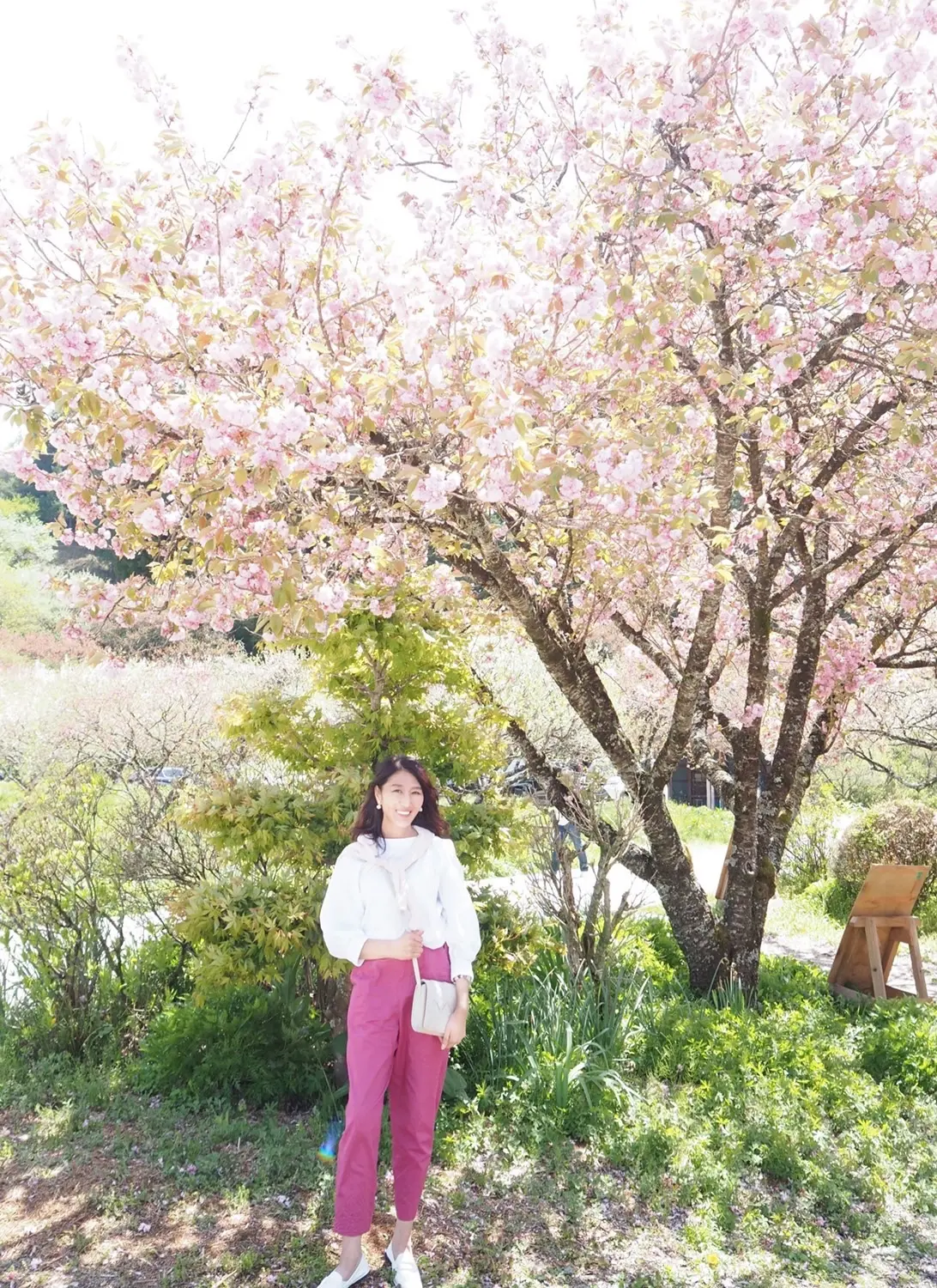 大自然に佇む山のベーカリーとハナモモの名の画像_3