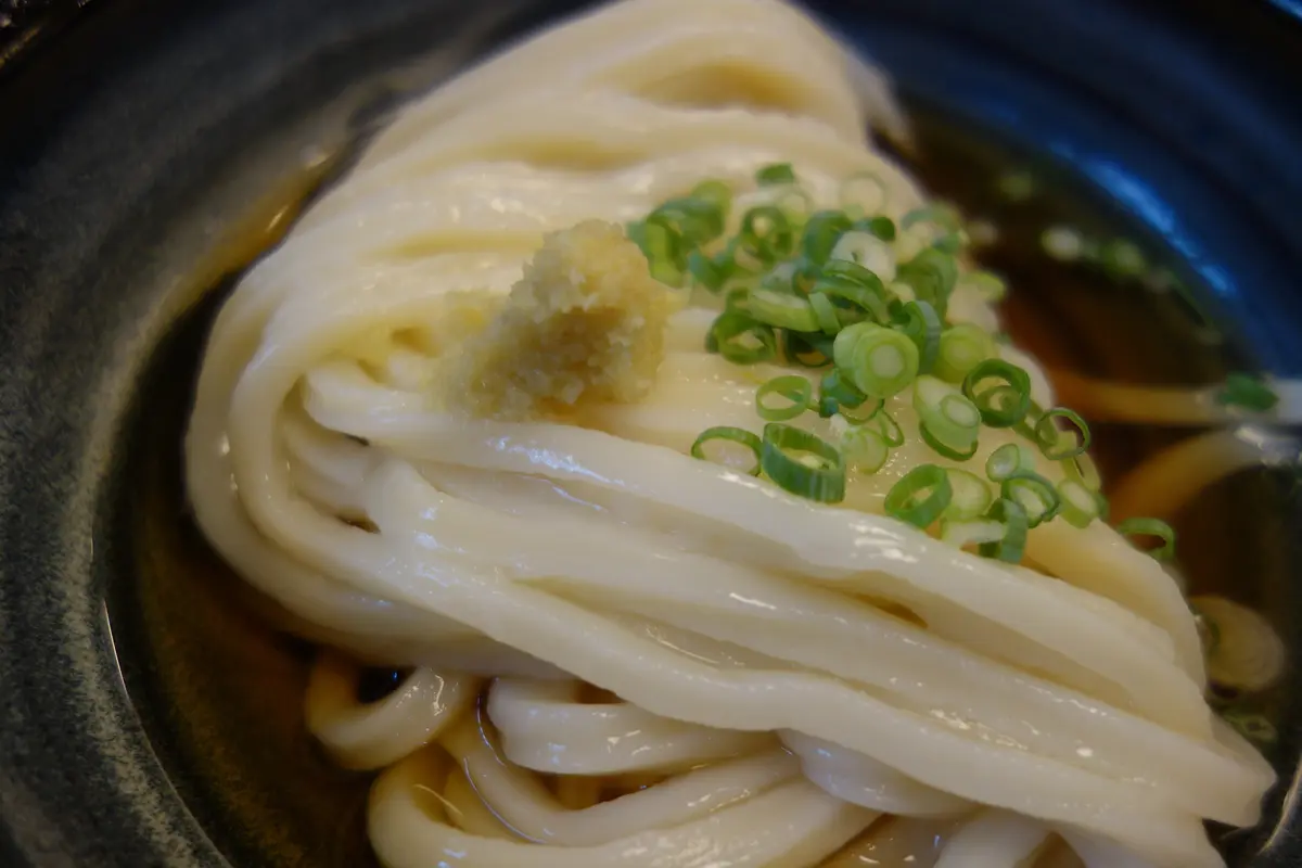 実家（香川県）へ帰省しました～①の画像_1