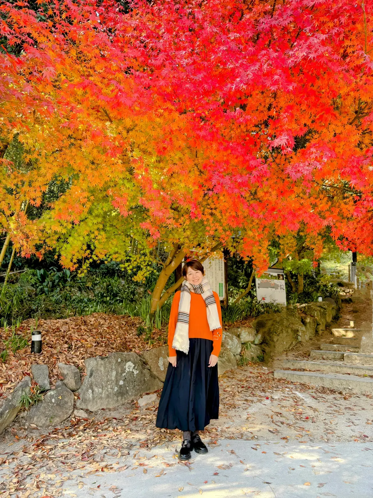 ユニクロ✖️ANYAHINDMARCH の画像_1