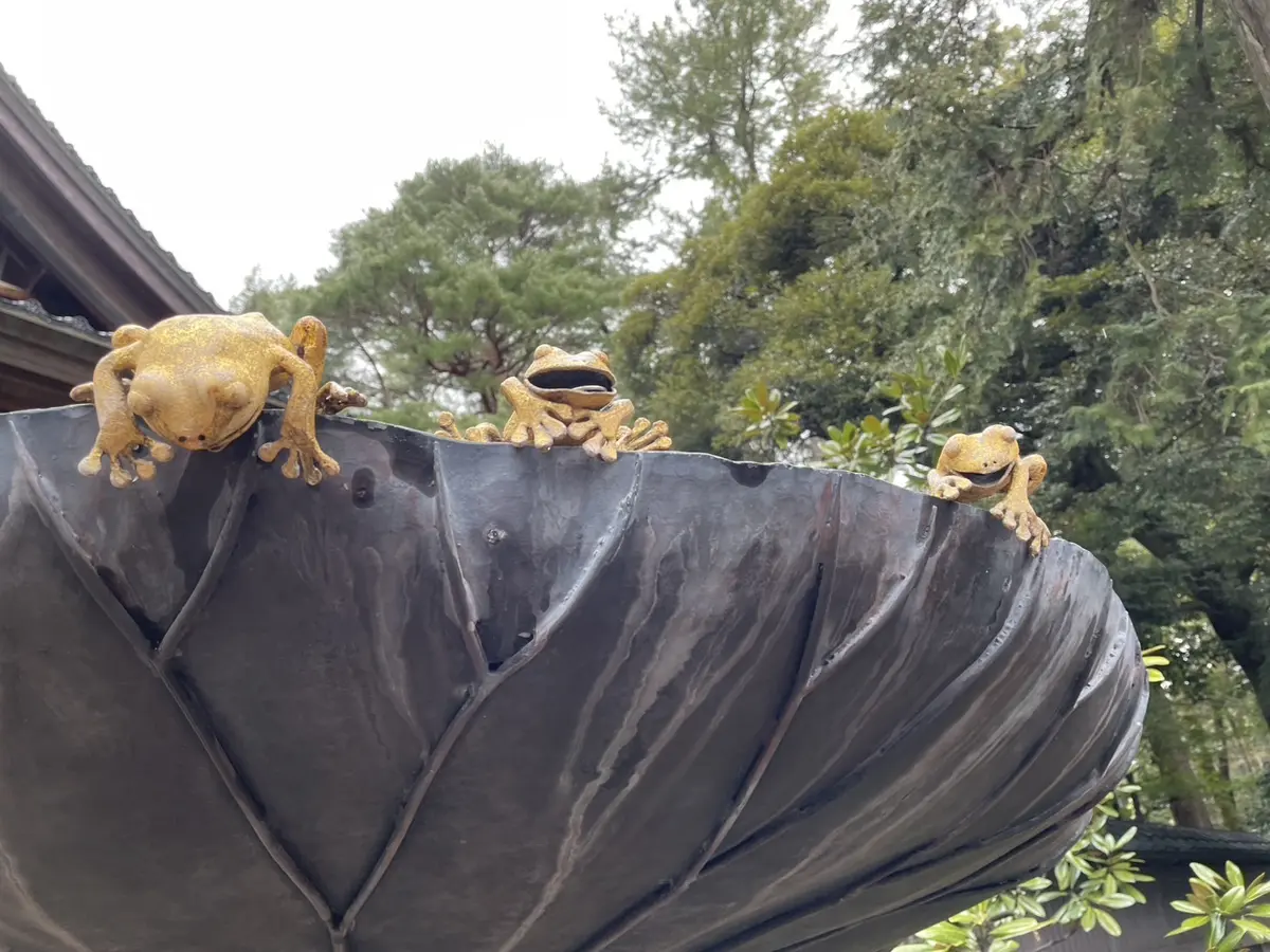 尾山神社　金のカエル