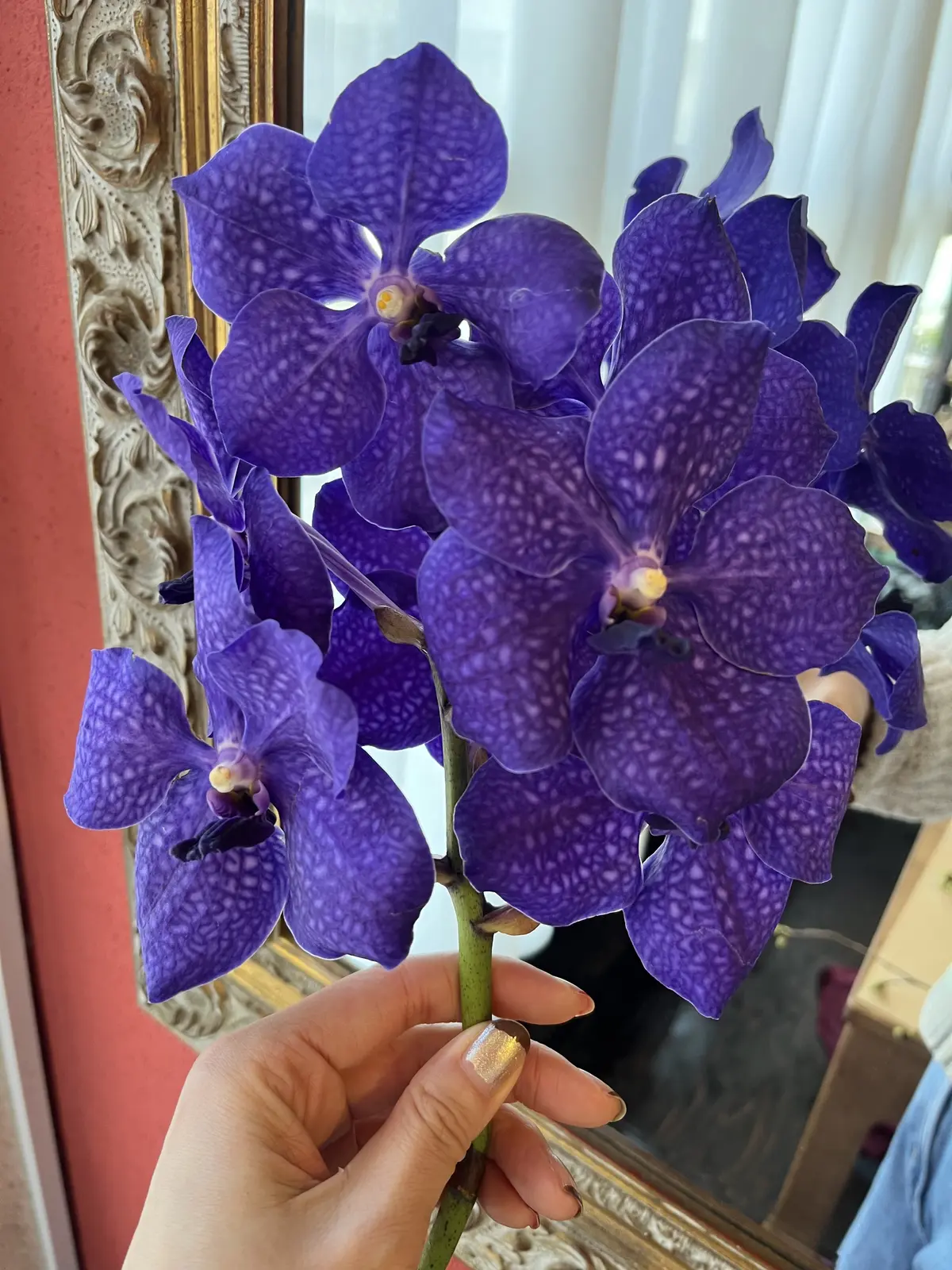 楽しみにしていた桜のブーケを束ねにの画像_4