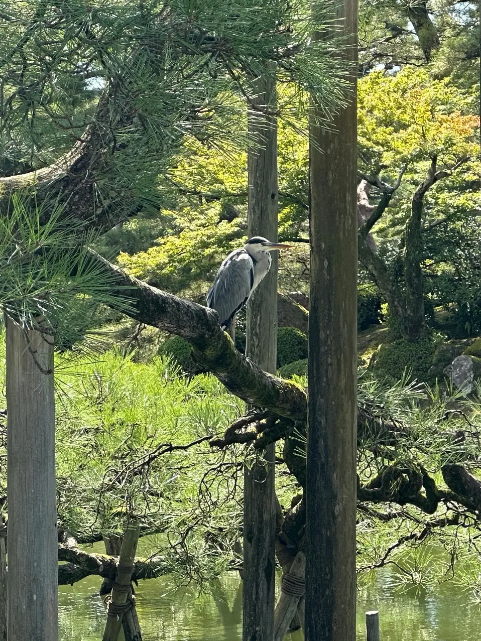 食を愉しむ大人の金沢旅行　DAY2 前半の画像_5