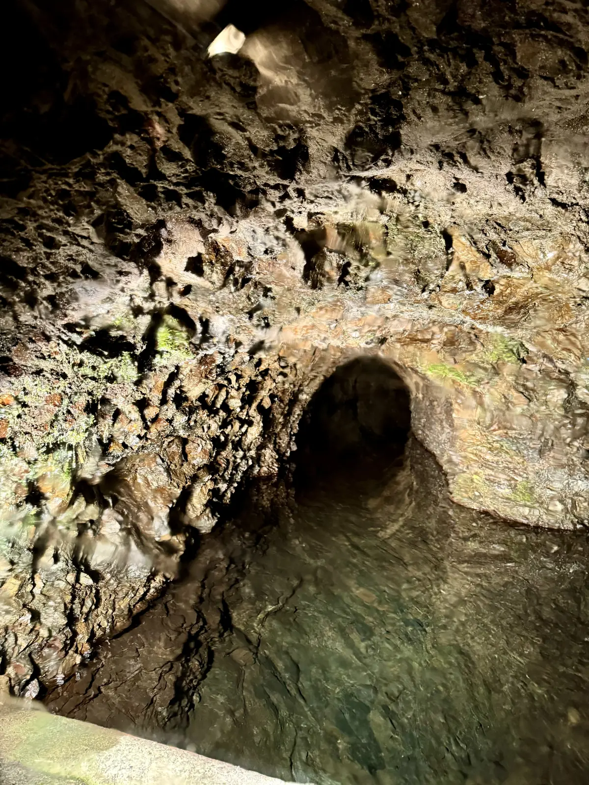 澤乃井酒造 蔵の井戸