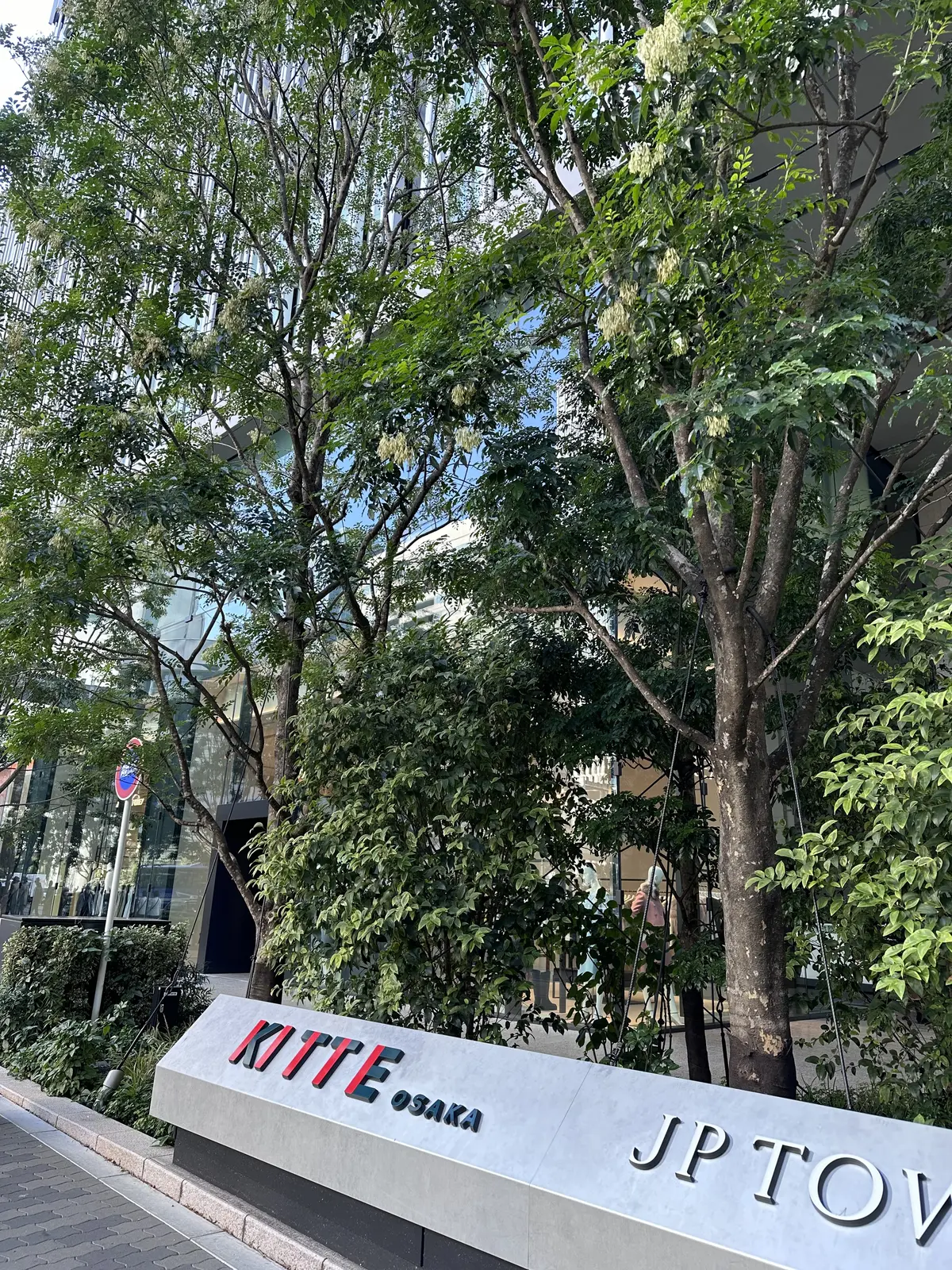 KITTE大阪でランチ　北海道フレンチの画像_1