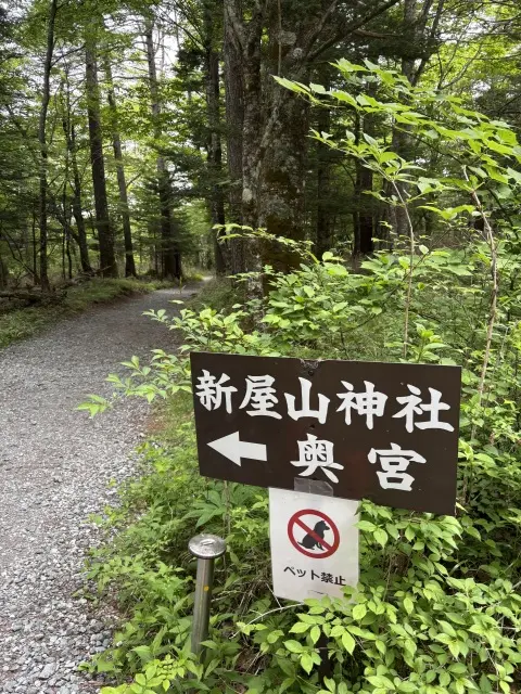 日本三大金運神社への画像_4